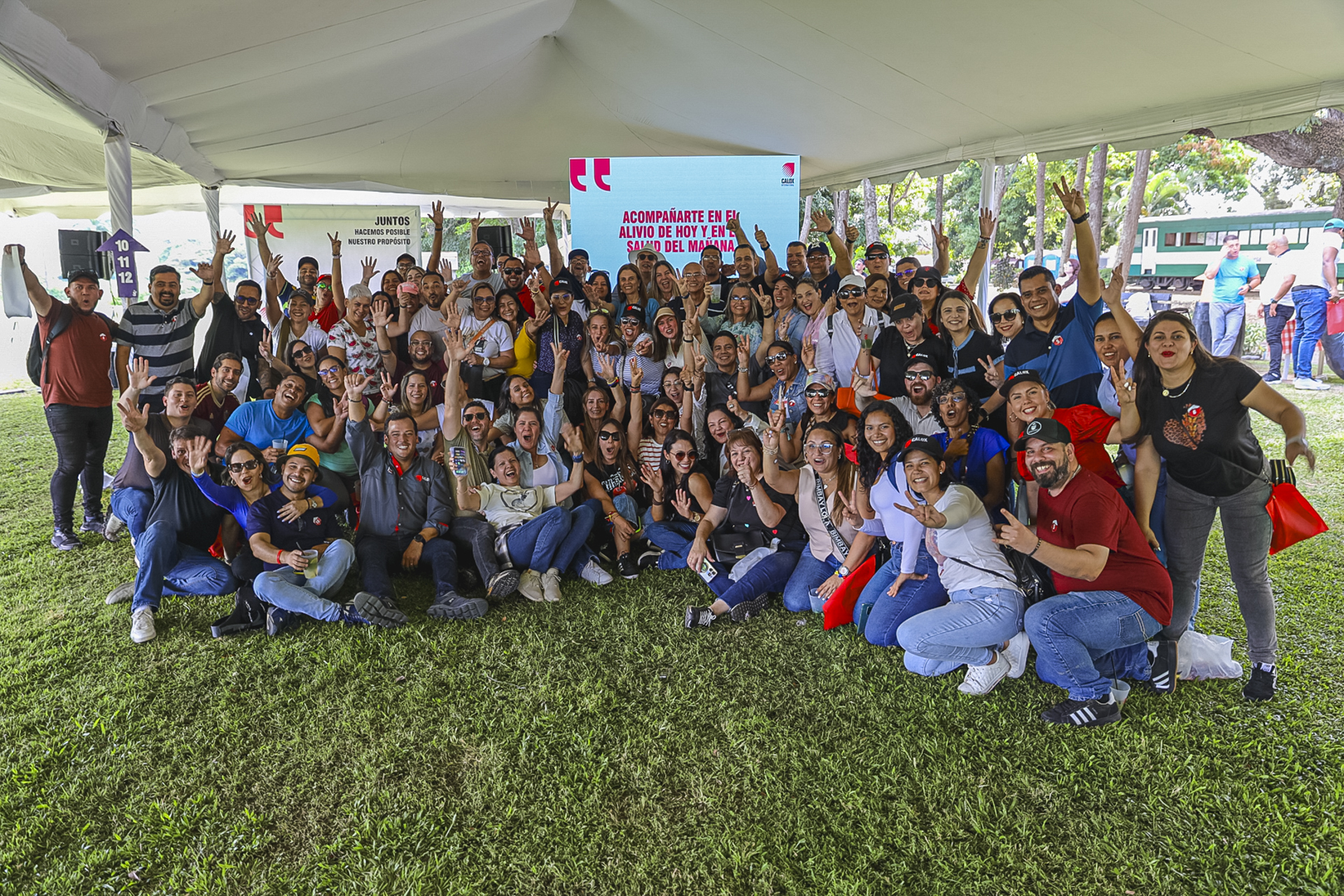 Actividad Propósito Calox