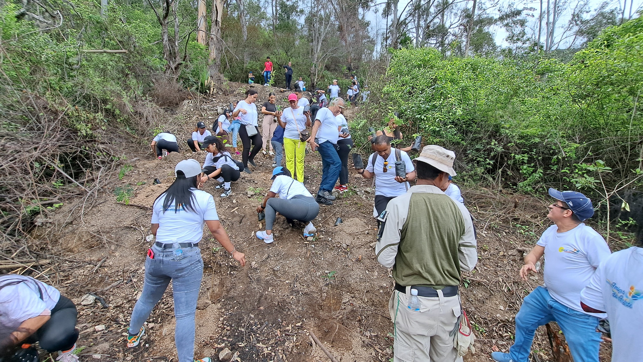 La familia Quick Press reforestando una ladera del Ávila en la celebración de su 27° Aniversario.
