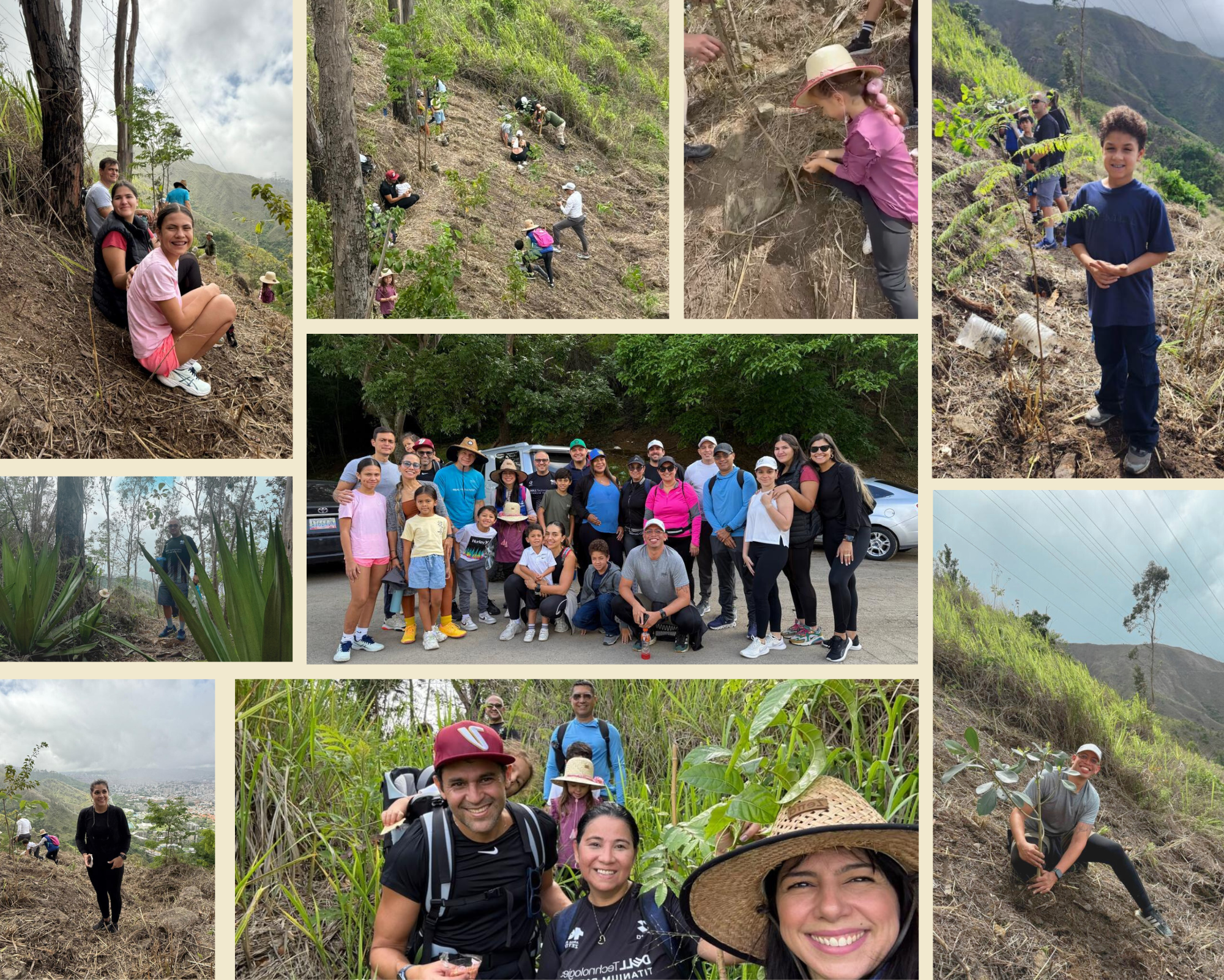 Parte de nuestros Voluntarios Zetta reforestando el Cerro Ávila para proteger y conservar nuestro ecosistema.