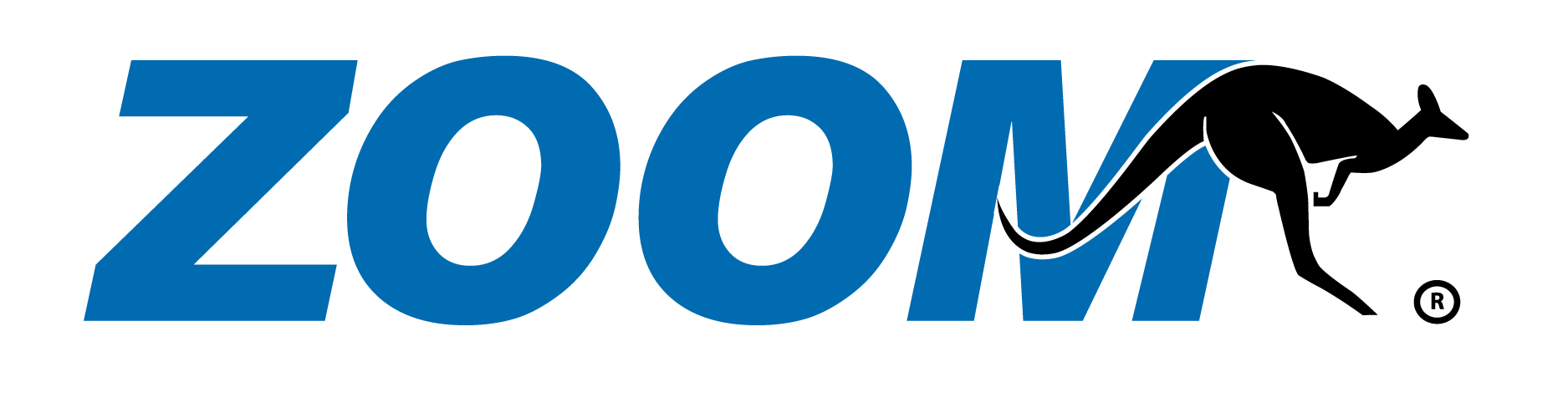 ZOOM INTERNATIONAL SERVICES CA VE1 VE 693c4005bc055af4fd3744b6 logo